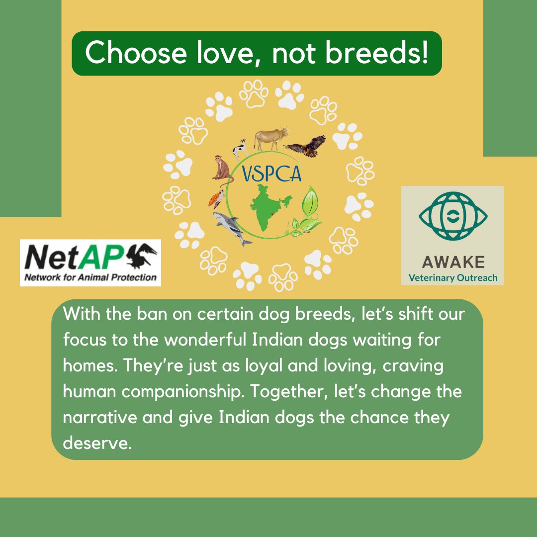 Let's stand up for the dogs affected by the recent ban on 23 breeds. 🚫 As we discuss the implications and concerns surrounding puppy mills, your support can make a difference in ensuring their safety and well-being.