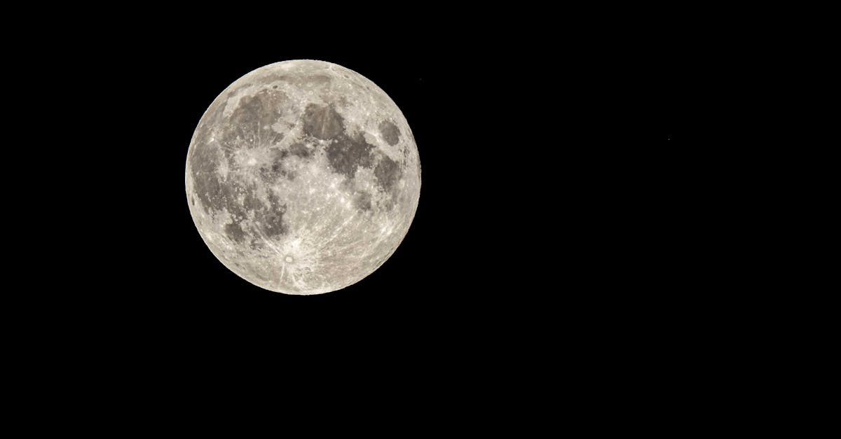 BettyBalazova's tweet photo. Full moon in Aries 🌕✨- a call for transformation! It's the perfect moment to rethink our pets' nutrition. With our range of natural food &amp; supplements, ensuring your pet's health &amp; happiness is a breeze. Let's make this transition together! #PetNutrition #FullMoonInspiration https://t.co/oiDKkdbVrA