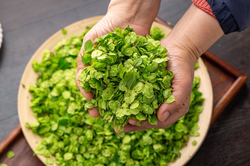 [Seasonal delight to enjoy around Spring Equinox] Eating spring #vegetables during the #SpringEquinox is a commonly practiced custom in many regions of China. 'Spring vegetables' refers to seasonal vegetables that differ from place to place.