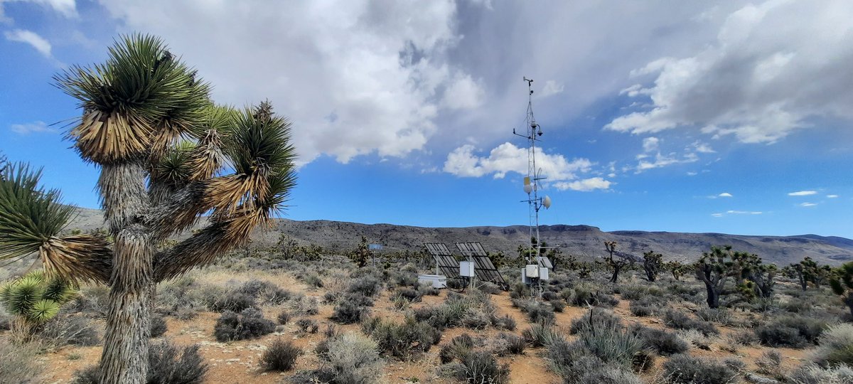 scottysci's tweet photo. @NWSVegas @NVSeismoLab @ALERTWildfire Was just onsite the other day, #NevCAN #climate #science
The long term install will have 14 years of data this fall, originally funded by @NSF @NevadaEPSCoR
Looking forward to many more years with @NVSeismoLab @DRIScience & @NSHE-SCS partners on the #NvSciNet https://t.co/Cz5T3uKfCL
