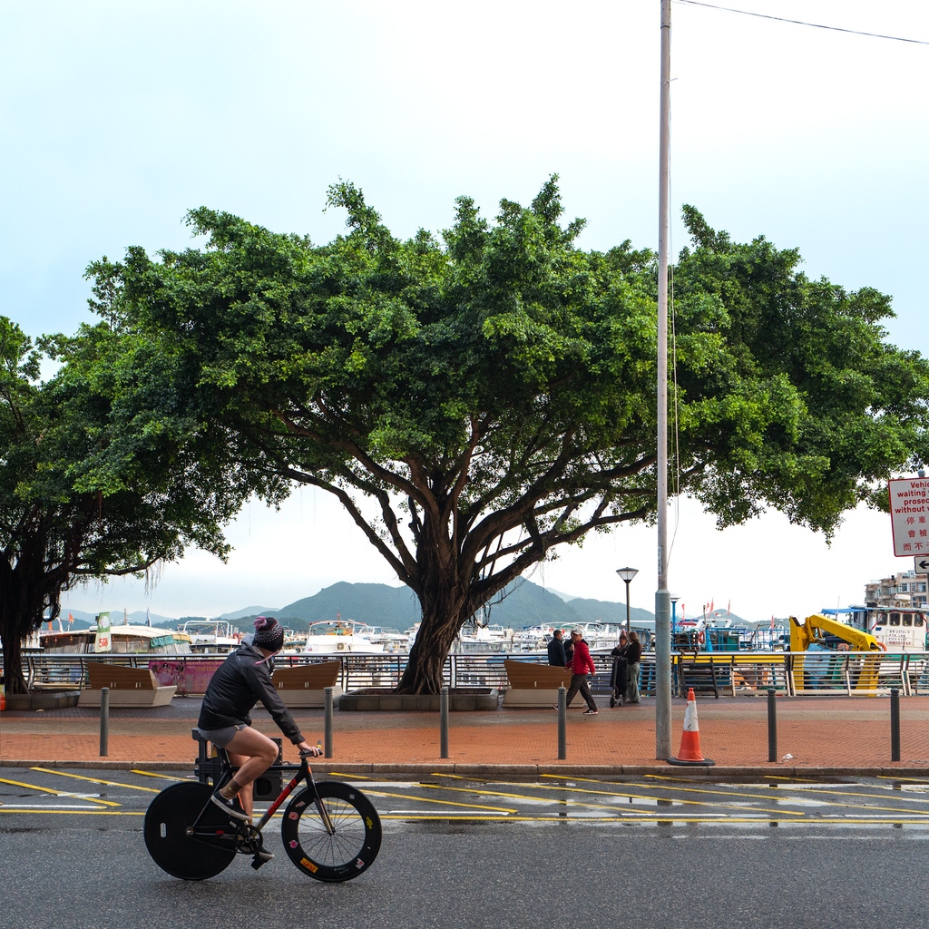 睇呢個景好過睇電視 #letschill 🍻

The unpredictability of the weather brings the possibility of enjoying any kind of it 🧘 and, of course, it’s better with a drink 🍻