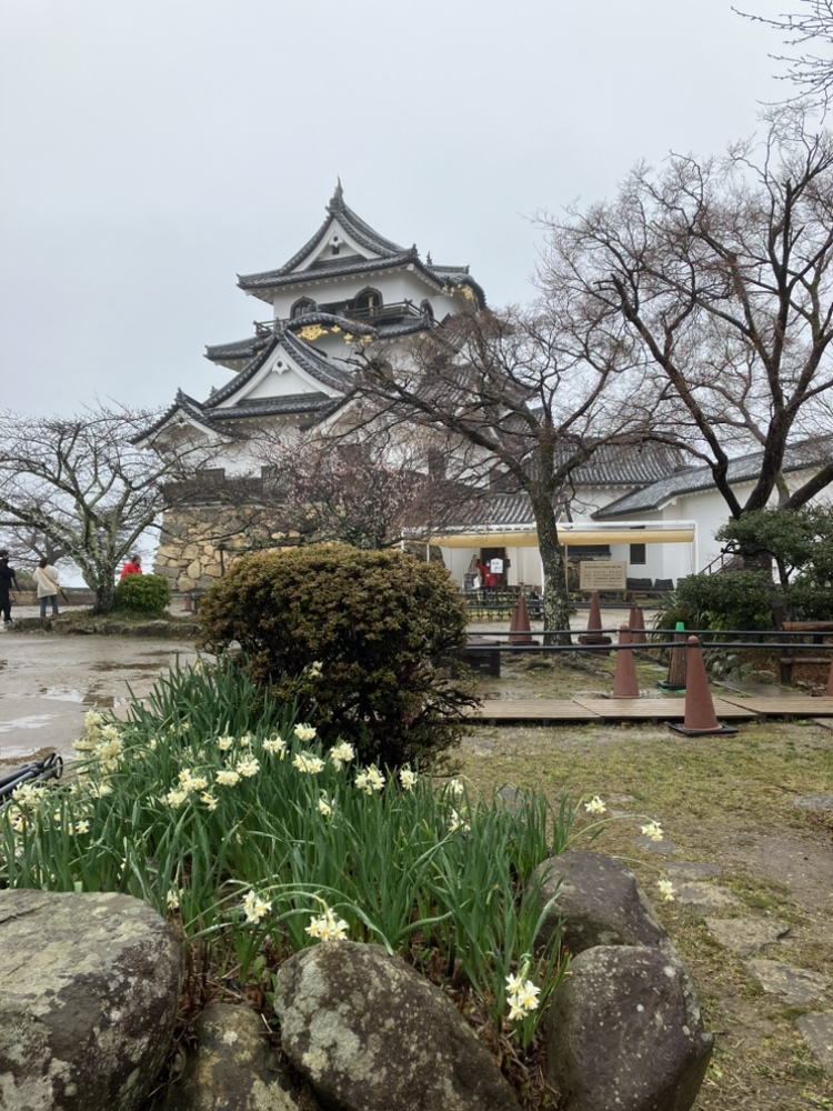 hikone_castle tweet picture