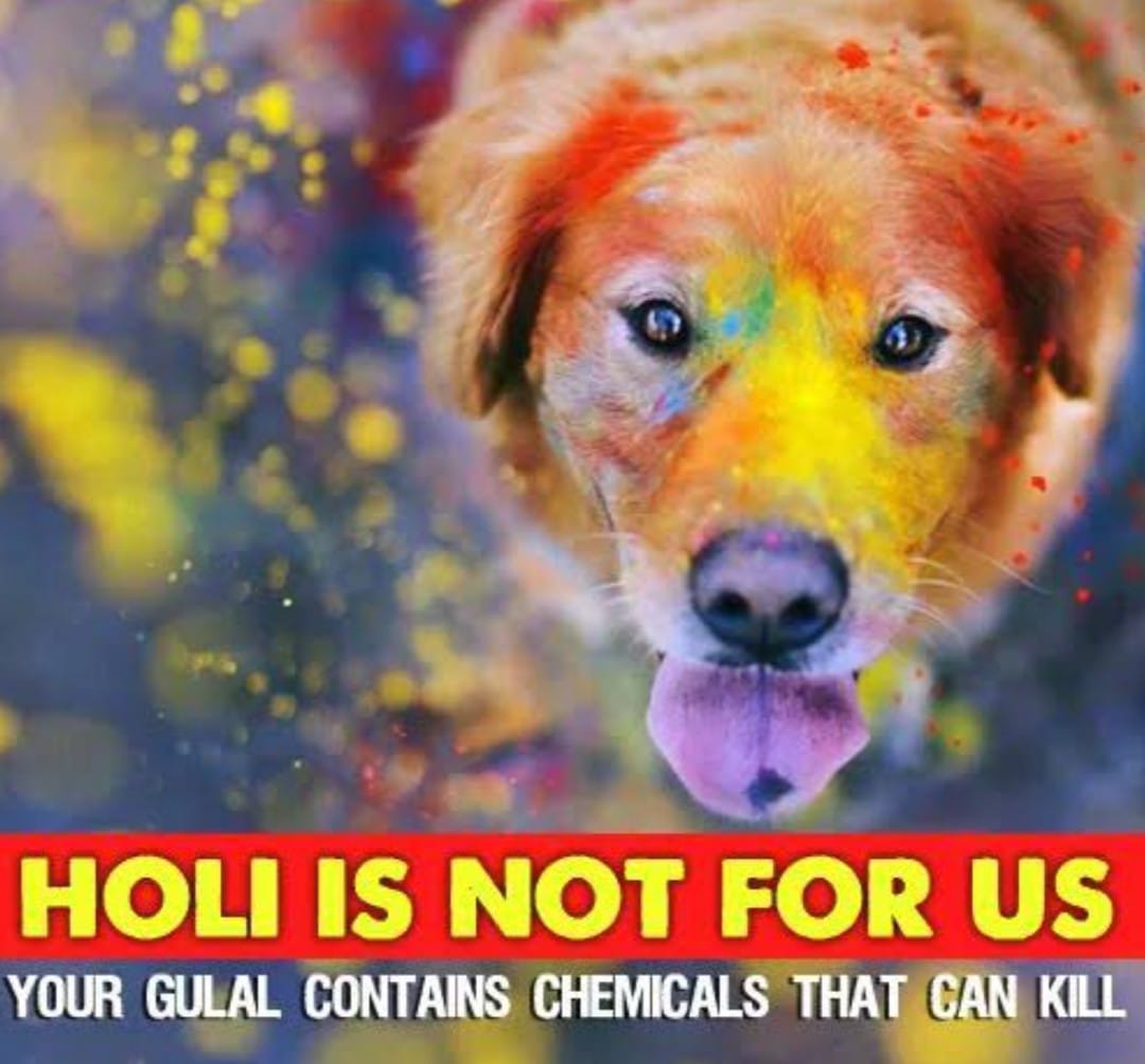 According to 𝐀𝐧𝐢𝐦𝐚𝐥 𝐖𝐞𝐥𝐟𝐚𝐫𝐞 𝐨𝐫𝐠𝐚𝐧𝐢𝐳𝐚𝐭𝐢𝐨𝐧𝐬, 𝐚𝐧 𝐞𝐬𝐭𝐢𝐦𝐚𝐭𝐞𝐝 𝟐,𝟎𝟎𝟎 𝐚𝐧𝐢𝐦𝐚𝐥𝐬 𝐚𝐫𝐞 𝐡𝐚𝐫𝐦𝐞𝐝 𝐨𝐫 𝐢𝐧𝐣𝐮𝐫𝐞𝐝 𝐞𝐯𝐞𝐫𝐲 𝐲𝐞𝐚𝐫 during Holi.
Take a stand for animal safety this Holi! 🐾

#animalsafety #ecofriendlyholi #holi