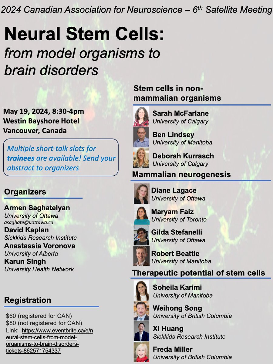Sign up for the 6th Neural Stem Cell Satellite at the @CAN_ACN annual meeting on May 19th, 2024 in Vancouver. Fantastic line up of speakers and multiple short-talks for Trainees. Send in your abstract. @AMVoronova @KurraschLab @BeattieScience @KarimiLab @XiHuang18