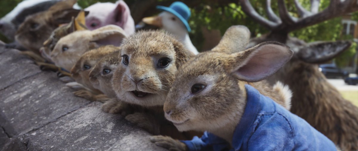 🐰 Has it really been 3 years since Peter and his family returned to the #Australia silver screen for his sequel, #PeterRabbit2? Time files when you're having a hopping good time! 🔗 bit.ly/3TNbh95