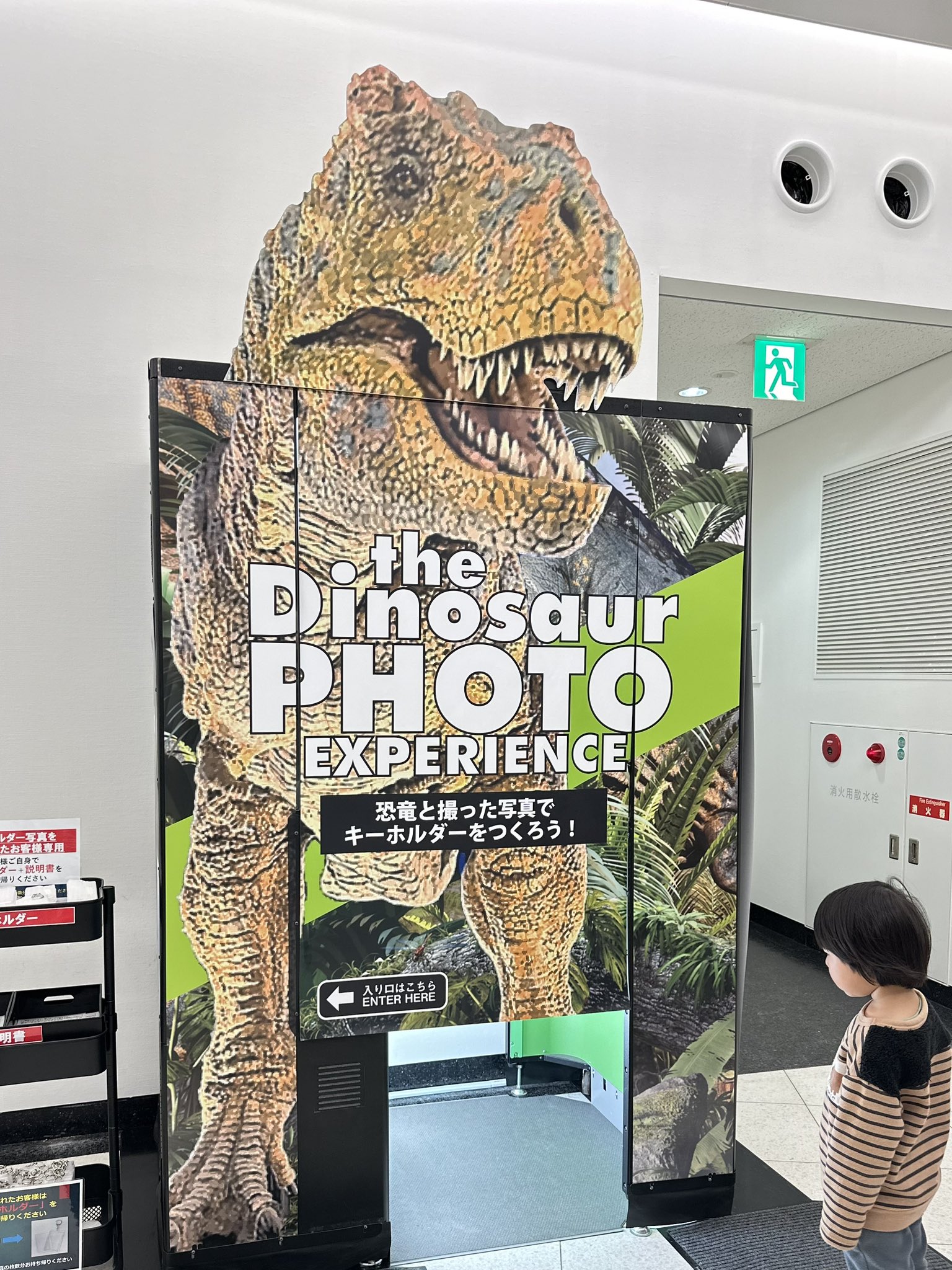 福井県立恐竜博物館 on X: 