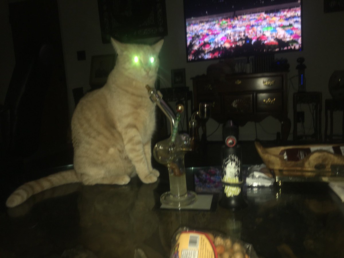 DO NOT SENT ANY CRYPTOS TO: samli149.cb.id