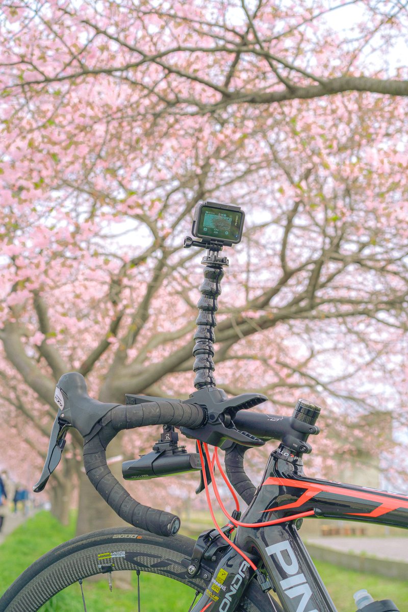 akaso_official's tweet image. Take AKASO, outside! Share your local spring moments with AKASO🌸
100% to win a gift and have a chance to get a $50-$100 cash award!💰💰

Know more👇
akasotech.com/share-with-aka…

We are looking forward to your wonderful creations.

#cyclingshots #cyclingaccesoires #cyclingcamera