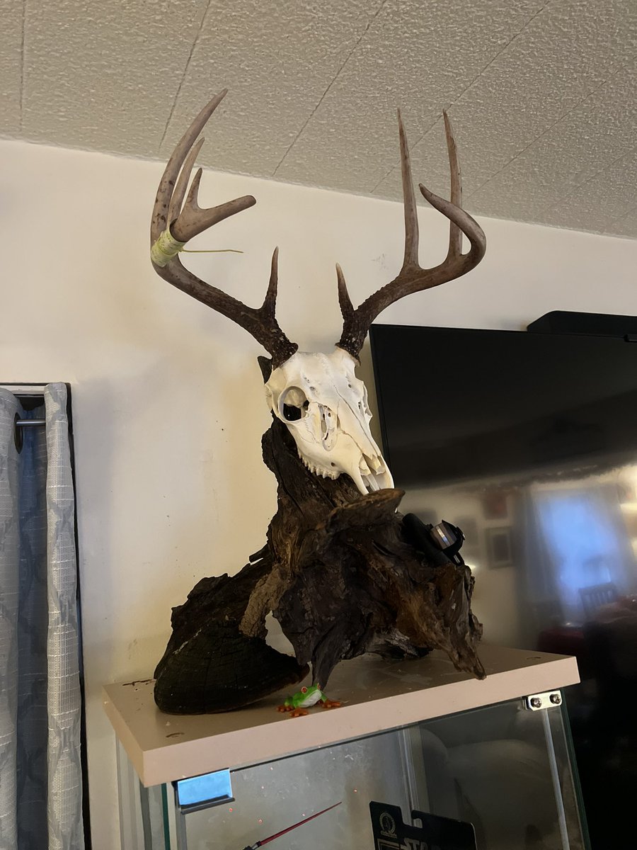 MookGOP's tweet image. 2024 Allegheny County 2B euro mount is finished