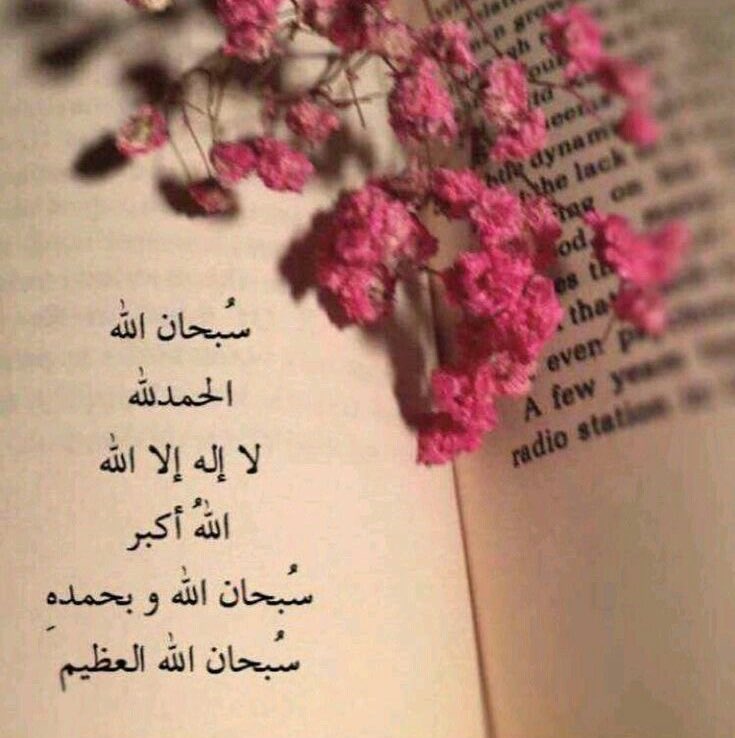 …🔖…

#تدبر

للذكر أنواع من الثواب ..
لكن أكثرها إبهارا أن خالق الكون سبحانه سيذكرك باسمك في الملأ الأعلى .
{ فَاذْكُرُونِي أَذْكُرْكُمْ }
الله سيذكرك باسمك ! 
#من_يتصور ⁉️

#ابراهيم_السكران 
#اذكروا_الله_يذكركم
#رمضان
~~~~~~~~~~~~~~