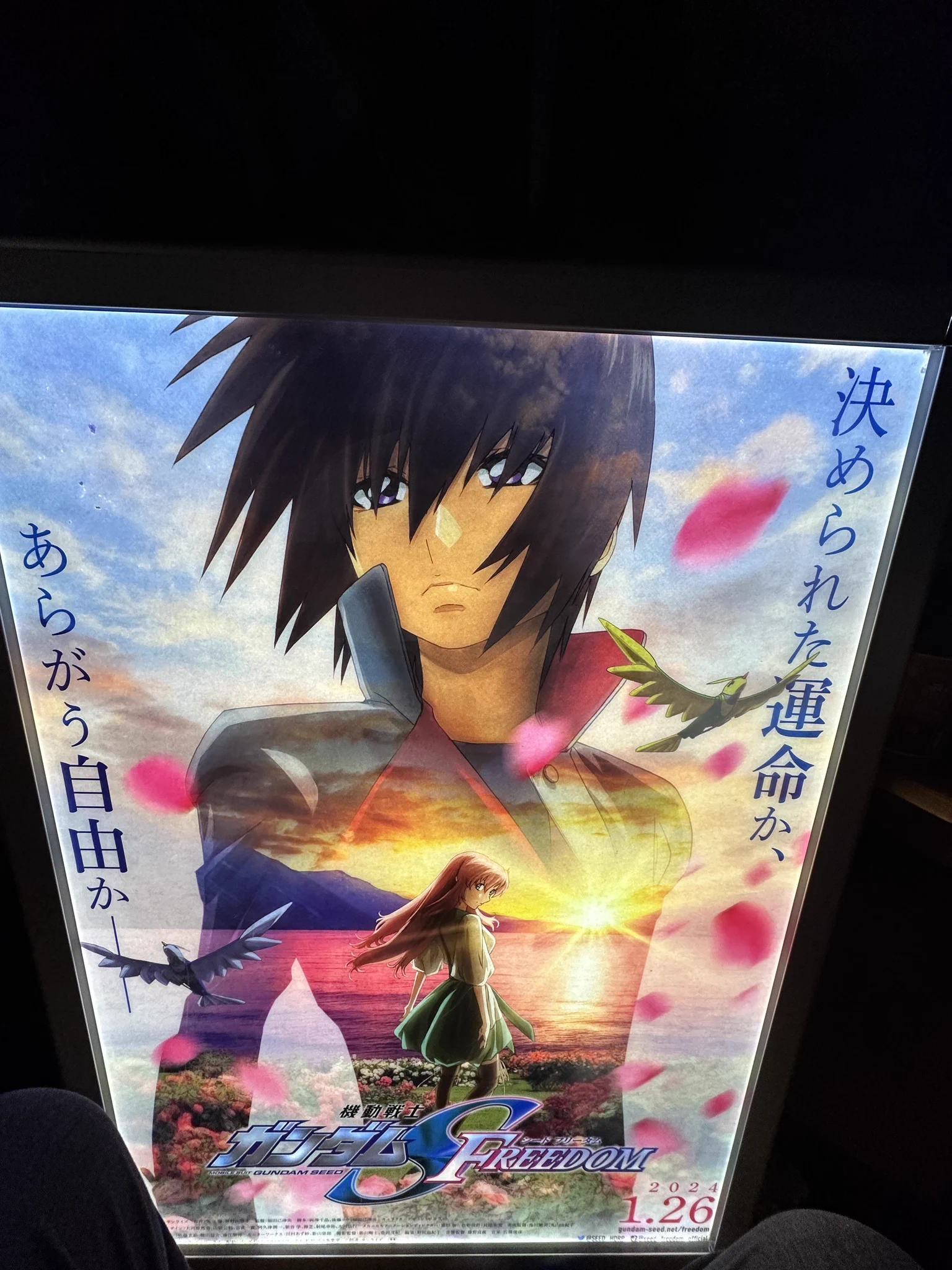 機動戦士ガンダムSEEDシリーズ on X: 