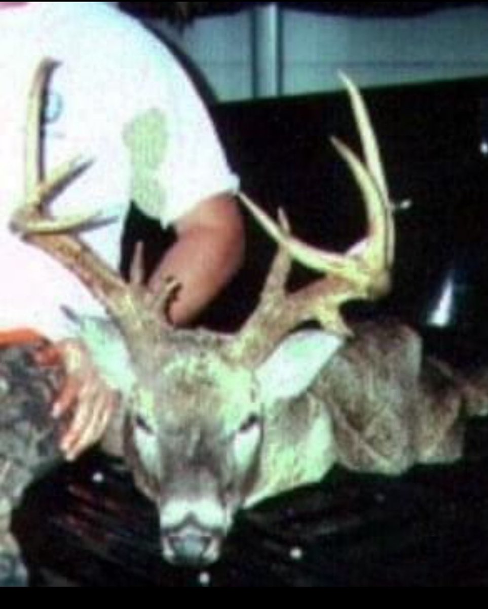 MookGOP's tweet image. Another nice buck out of the Ohiopyle State Park in Fayette County early 2000 Archery harvest