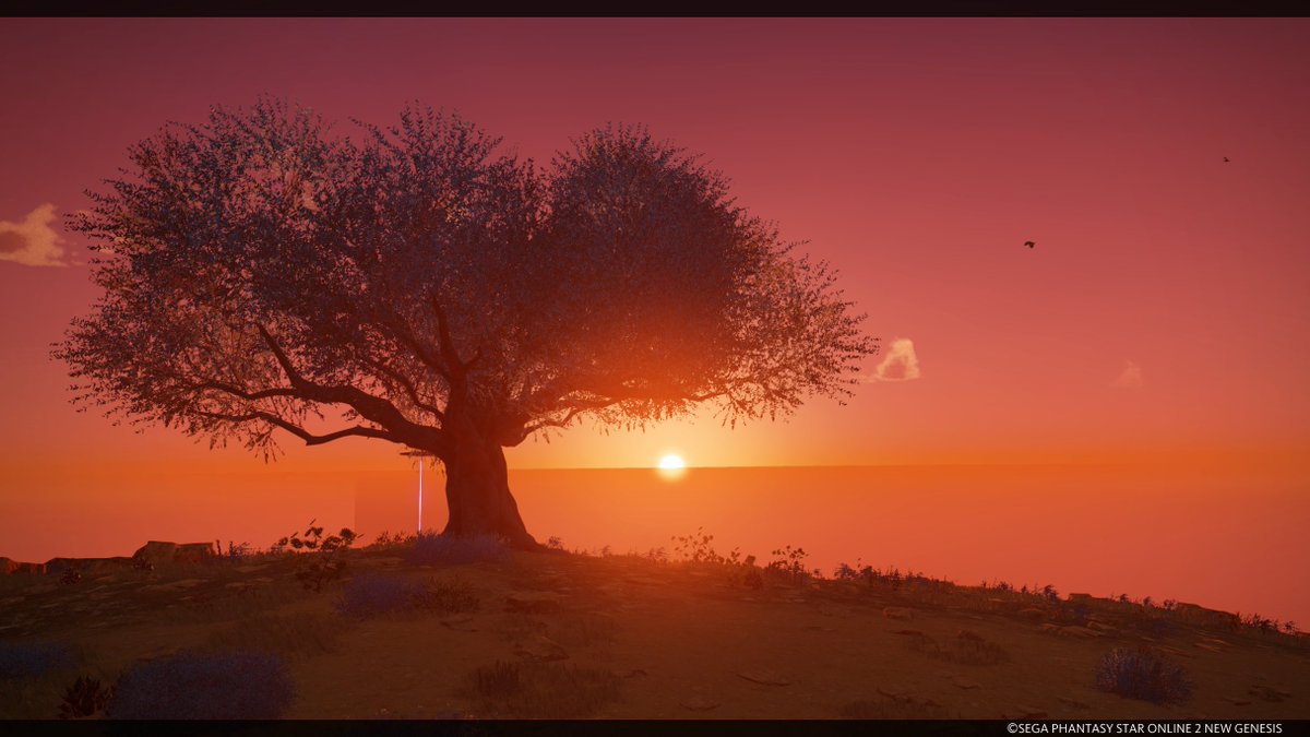 dg_kudai_pso2's tweet photo. #PSO2NGS #PSO2NGS_SS #PSO2NGS_風景 https://t.co/pTSx084CsE