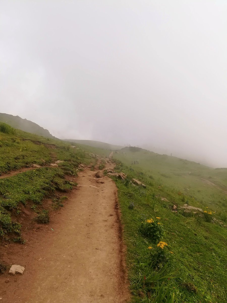 LifeLensScape's tweet photo. Cloud covered Paye Meadows, Shogran, Khyber Pakhtunkhwa, Pakistan.
#Pakistan #PayeMeadows https://t.co/LFjLiB5SFr