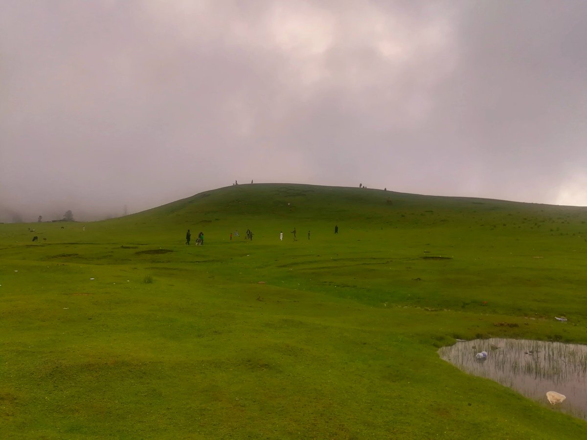 LifeLensScape's tweet photo. Cloud covered Paye Meadows, Shogran, Khyber Pakhtunkhwa, Pakistan.
#Pakistan #PayeMeadows https://t.co/LFjLiB5SFr