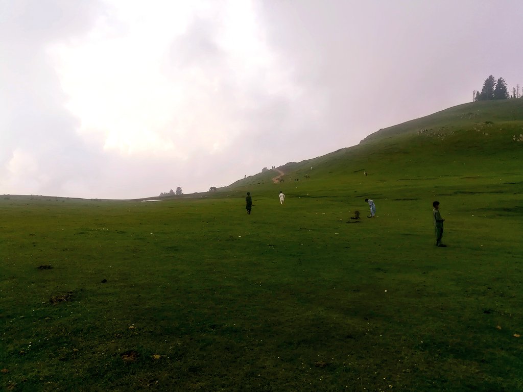 LifeLensScape's tweet photo. Cloud covered Paye Meadows, Shogran, Khyber Pakhtunkhwa, Pakistan.
#Pakistan #PayeMeadows https://t.co/LFjLiB5SFr