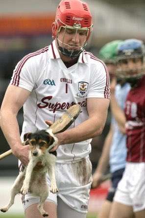 Will O'Callaghan tweet media