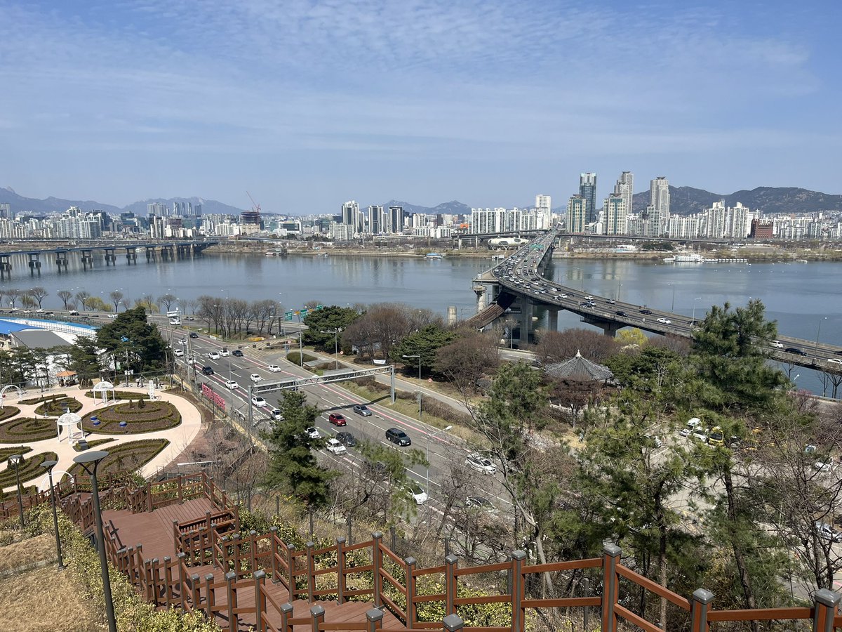 KOHI 청담코히 tweet media