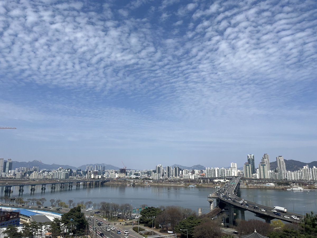 KOHI 청담코히 tweet media