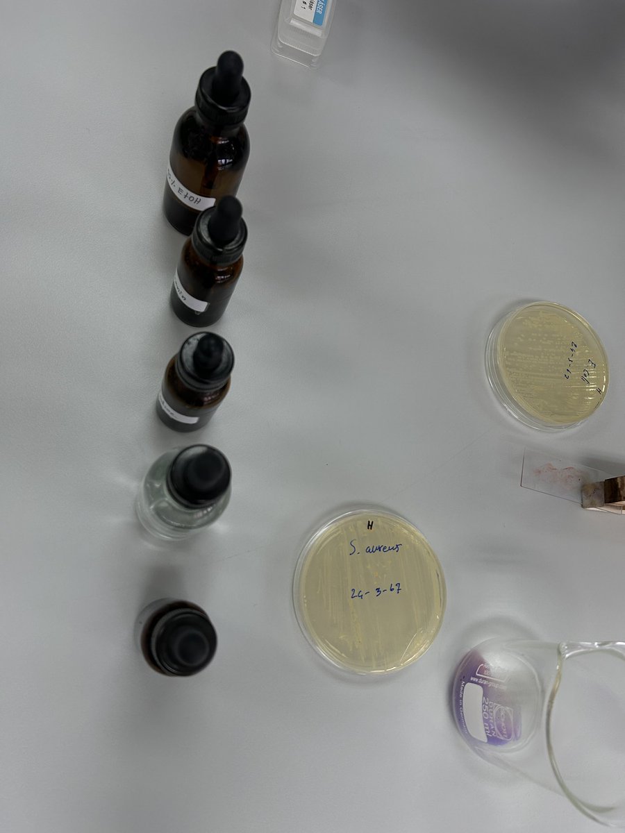 zp (@ppaerxe) on Twitter photo 