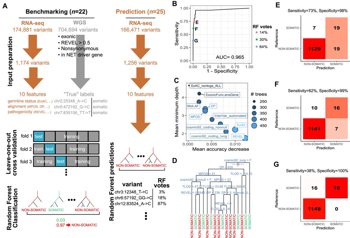 Another rare cancer Data Note from @m_foll and the @IARCWHO Rare Cancers Genomics initiative, this time presenting PDTO data. Multi-omic dataset of patient-derived tumor organoids of neuroendocrine neoplasms doi.org/10.1093/gigasc…