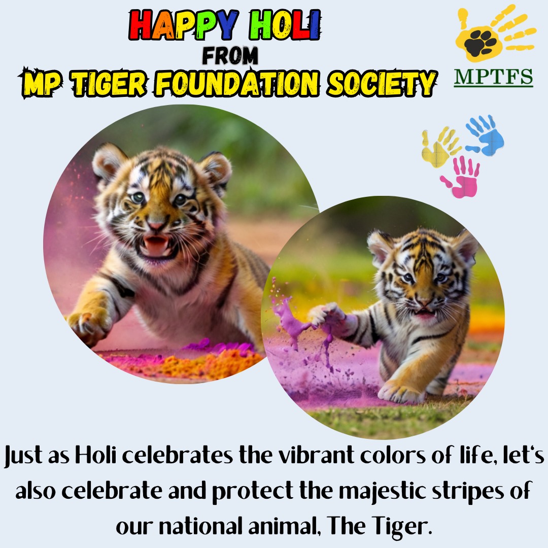 This Holi, let's paint a brighter future for our tigers! We encourage you to celebrate with eco-conscious choices. Your support helps us in our mission to conserve tigers & their natural habitats. MTogether, we can make a difference. Happy Holi from MP Forest Department (W