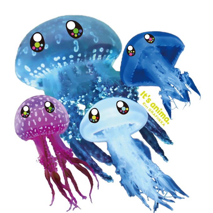 「jellyfish looking at viewer」 illustration images(Latest)