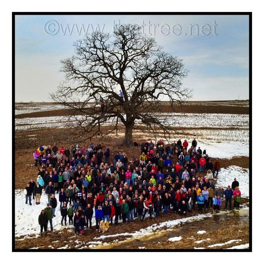 Some things get older, but they never lose their beauty. Photographer Mark Hirsch finished the That Tree project exactly 11 years ago on March 23. Wow. It was such a pleasure to write an article him &amp; his favorite oak tree. Check out these timeless photos!
sierraclub.org/sierra/slidesh…