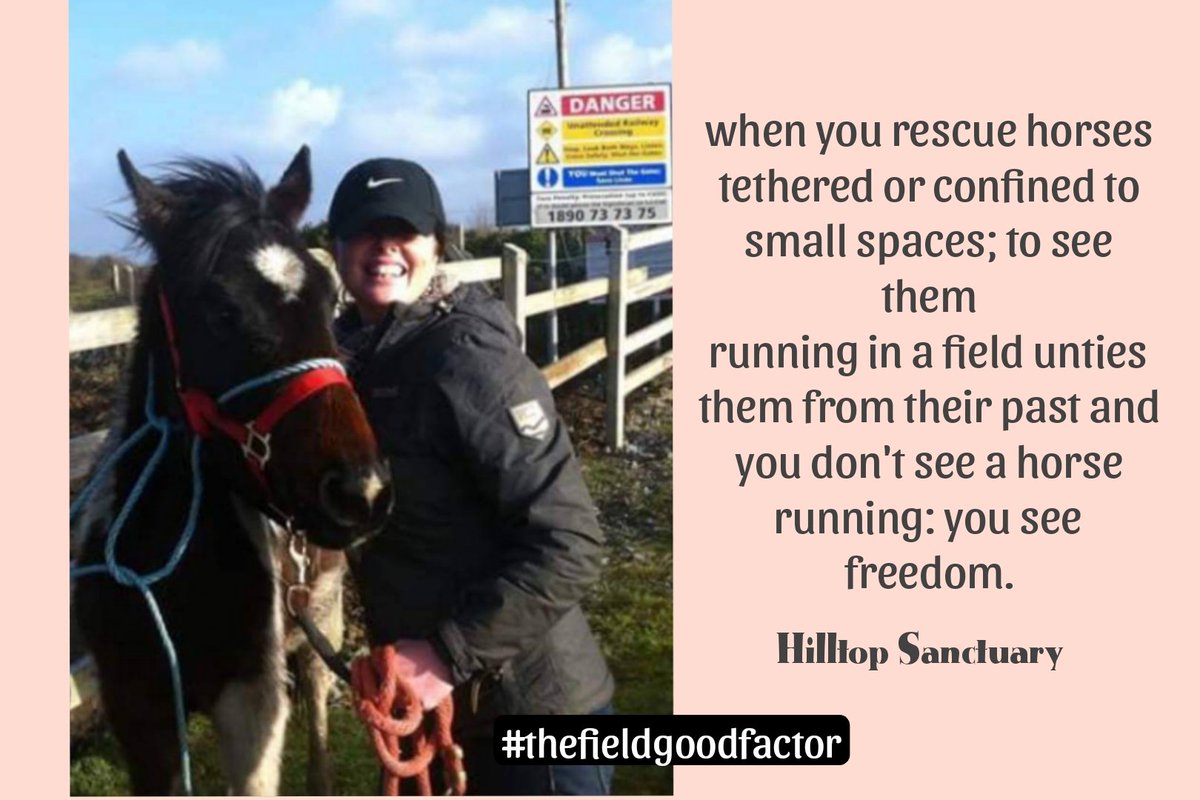 catlowry54's tweet photo. Still time to buy a ticket for 5euros for the draw r 087-9237375 gfm a/c https://t.co/dGB2idoVN5 pp catlowry54@gmail.com thank you 💕 #thefieldgoodfactor https://t.co/QUHafUOh5p