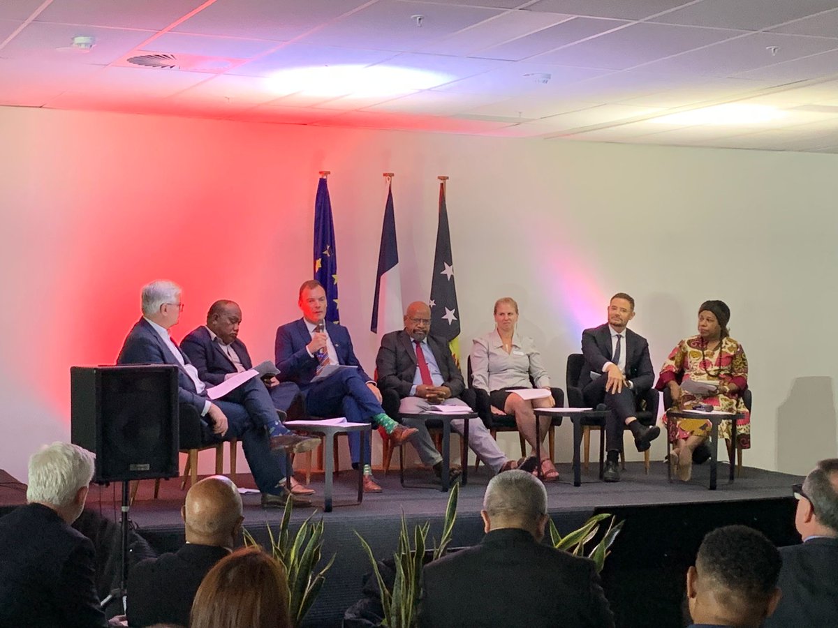 European Union Delegation PNG tweet media