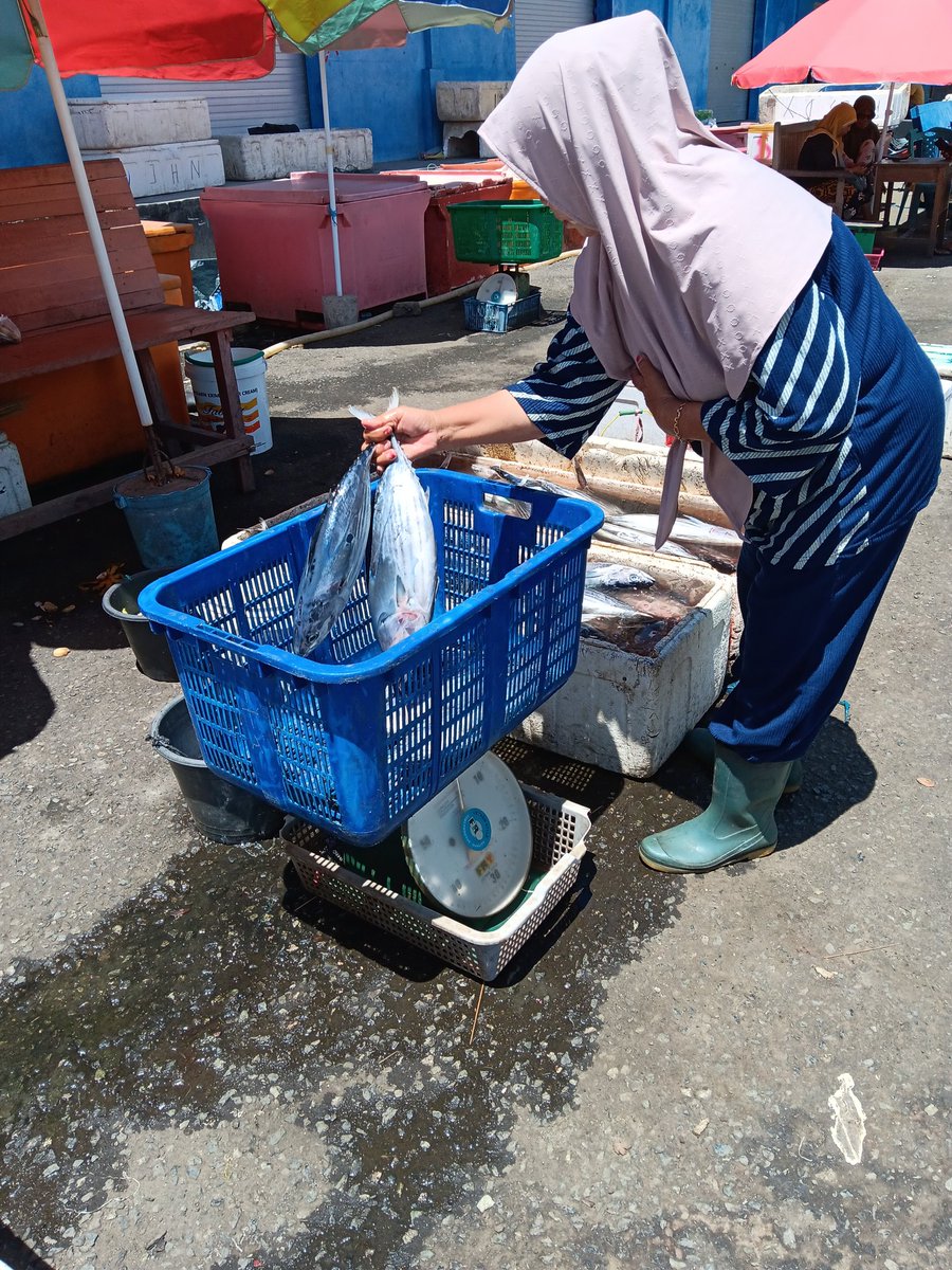 Utampelu's tweet photo. Senin (25/3), Rustam Pelu, Luhkan Kab. Hal Sel, melaporkan  hasil pemasaran ikan Waharmi,  Maret 2024, sebanyak 160 kg, harga jual 20000/kg.

#GiatLuhkanSatminkalAmbon #HalmaheraSelatan #Produksi
#luhlapor
@bp3ambon
@puslatluhkp https://t.co/UE2CTKpmS3