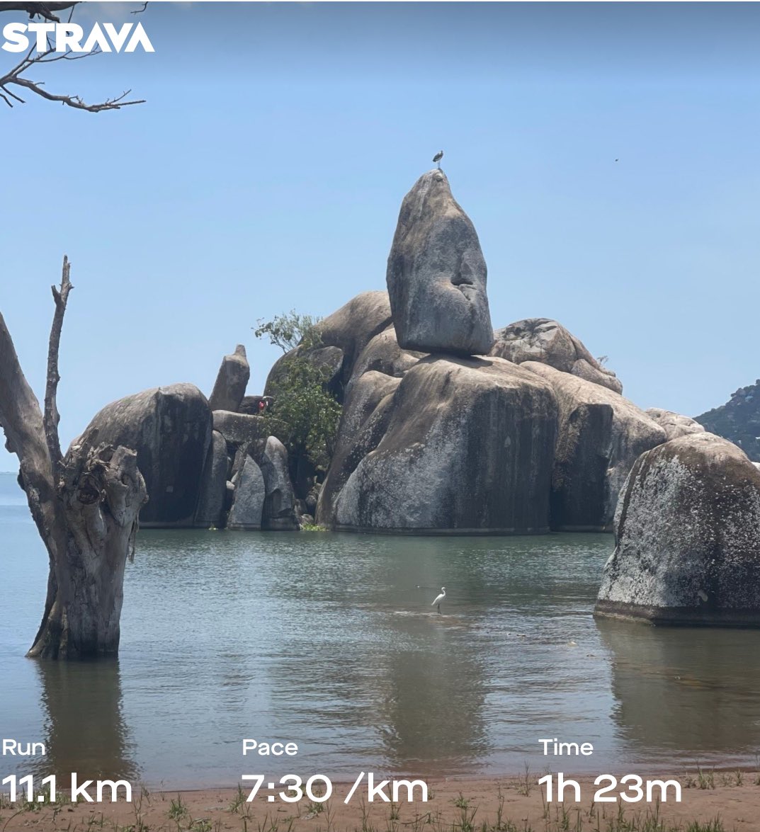 madame_stellah's tweet image. Happy New Week🔥
#StayPositive 
#Letsrun
#ownpace