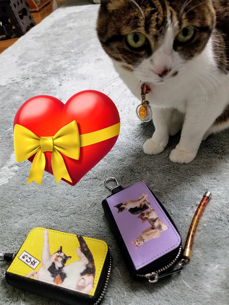 ウチの子グッズ