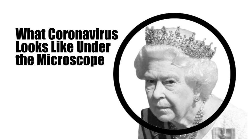 BlackHouseGov's tweet photo. #BlackHouseGov #Agenda47 #2Q24 #Meme 4Year ∆!
H/T ♥ #CAR_REPORT♥» »» »: :

 #TOP #Thoughts: [Va666ines] [Food] [Air] [Water] [Foul Play] et al is a [Sinister [D]evil] #Evolution of #WAR of "ALL v ALL"; a #5GUW #Revolution, A Final Battle for the Heavenly Realms

https://t.co/5DWfedoZru