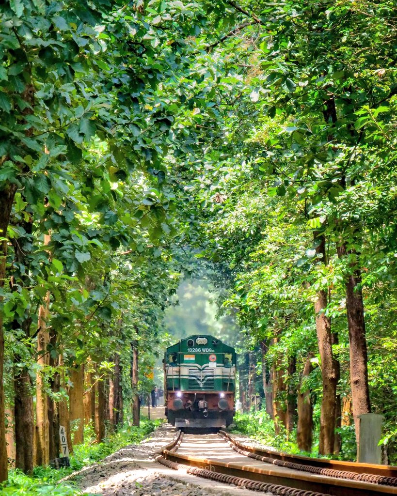 Today's #railway #photo - one can never get enough of the beauty of the rail line through the teak forests of the Shoranur-Nilambur line - near Melattur station in the jurisdiction of @DRMPalghat in @GMSRailway! Pic courtesy, Anagh! #IndianRailways #trains #photography @PiyuNair