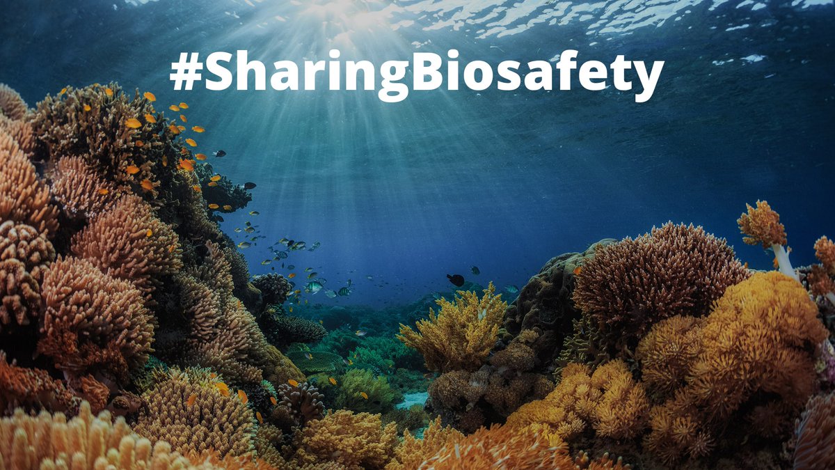 UNBiodiversity's tweet image. Parties to the #CartagenaProtocol on Biosafety, a supplementary protocol @unbiodiversity, are required to publish information on living modified organisms (#LMOs) in the #Biosafety Clearing-House.

Learn more: bch.cbd.int