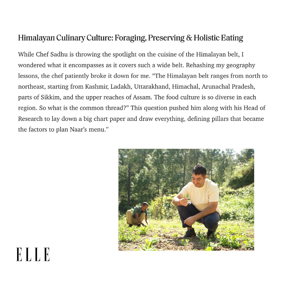 All the key pillars of the Himalayan culinary culture come to life when I sit to dine for a 16-course meal at the restaurant. Naar features 6 menus, each starring ingredients across 6 seasons with ingredients foraged from their backyard, or sourced from local organisations. I was