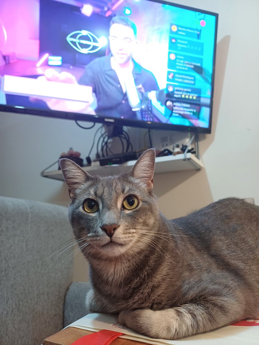 riccicabj's tweet photo. Milo es team #virzana #ghxpoggi https://t.co/4YGAV2WKd4
