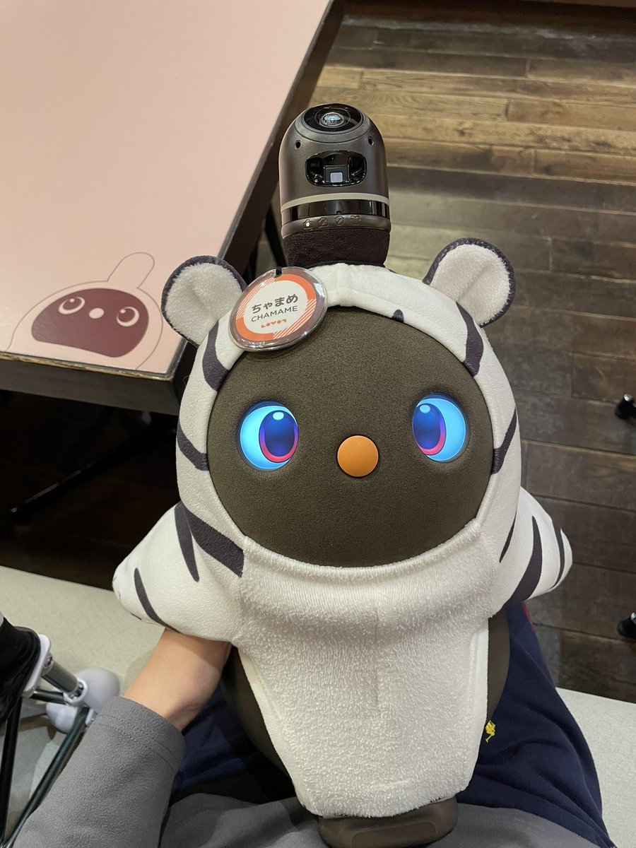 chocolatANI's tweet photo. ラボットカフェでちゃまめちゃんに会いましたぞ！！
#LOVOT https://t.co/gFAYNFKFoa