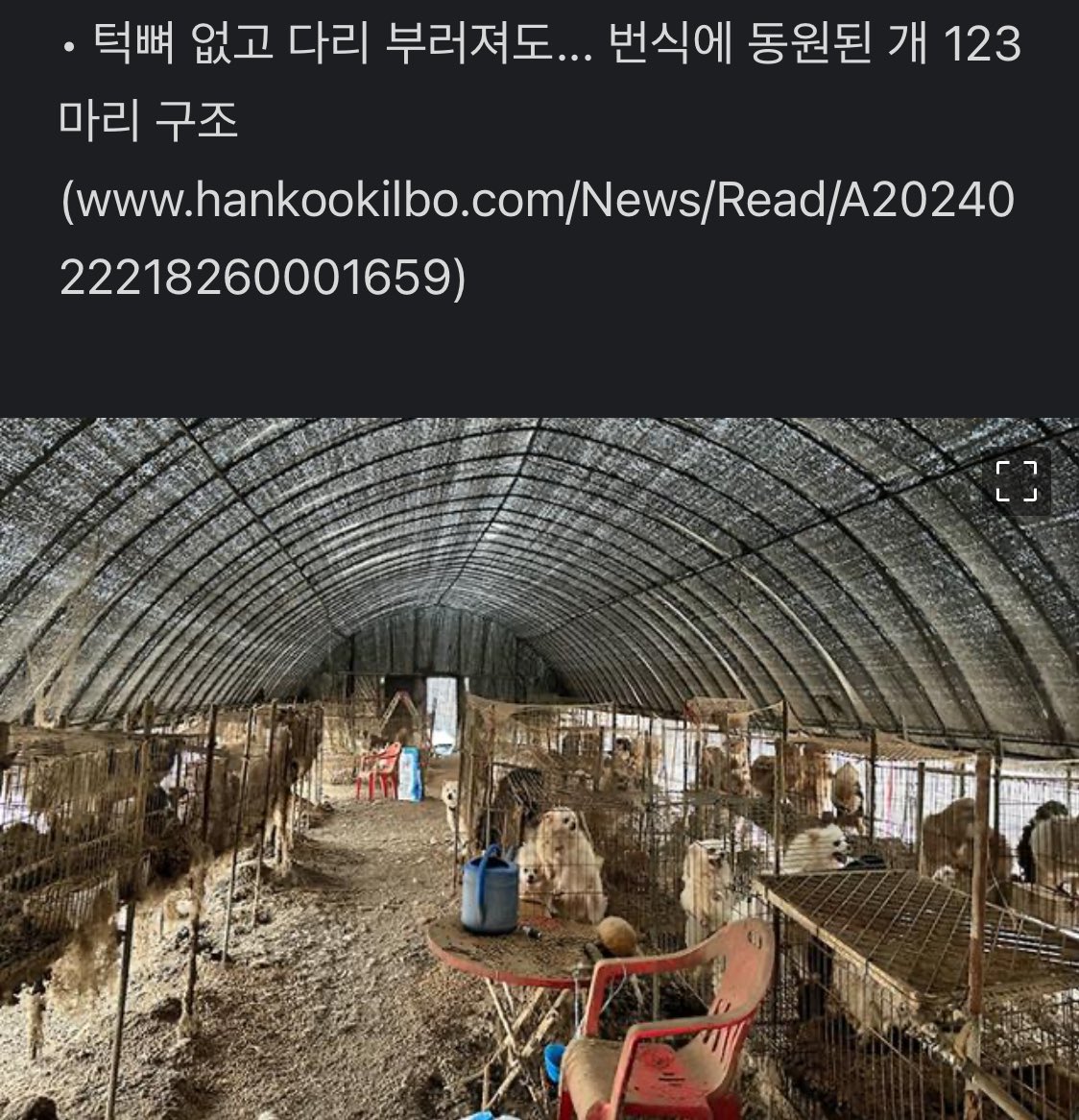 saramdangdang2's tweet photo. 작고 예쁜 소형 품종견이 만들어지는 곳. 사지 않으면 바뀝니다. 펫샵, 브리더, 가정분양 등 모든 생명 매매를 끝내야 합니다. https://t.co/1LgyK7GxE0