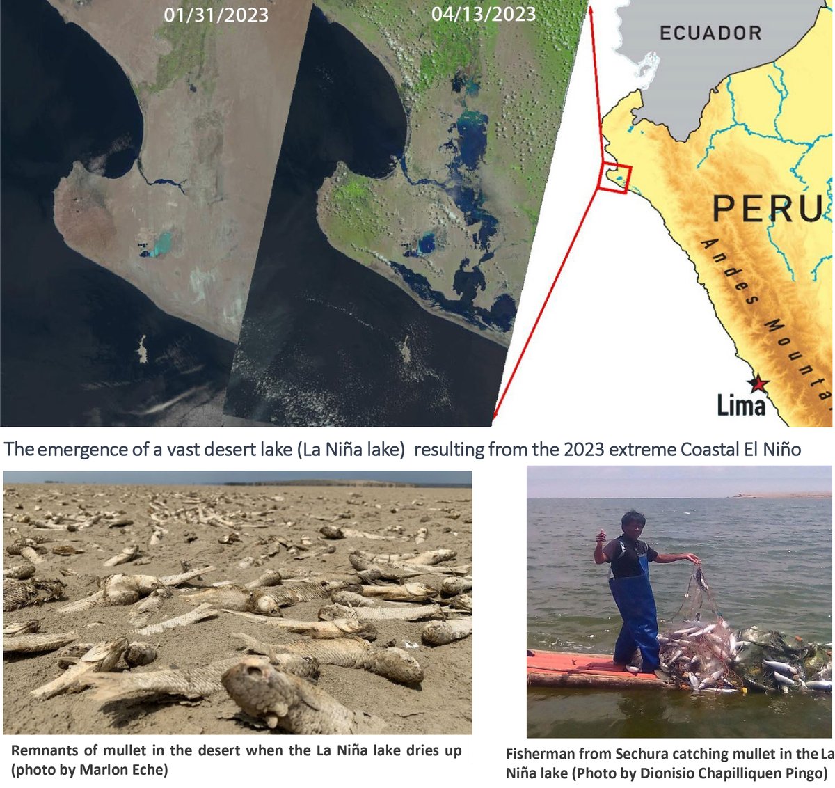Qihua Peng (Postdoc at UCSD) (@generalpeng1) on Twitter photo Check out our new paper in <a href="/ScienceAdvances/">Science Advances</a> . We highlight that the strong intraseasonal atmospheric perturbations and their interactions with the steep Andes Mountains are crucial in triggering the 2023 extreme coastal El Niño <a href="/xie_climate/">Shang-Ping Xie</a> <a href="/Scripps_Ocean/">Scripps Institution of Oceanography</a>
science.org/doi/10.1126/sc… Check out our new paper in <a href="/ScienceAdvances/">Science Advances</a> . We highlight that the strong intraseasonal atmospheric perturbations and their interactions with the steep Andes Mountains are crucial in triggering the 2023 extreme coastal El Niño <a href="/xie_climate/">Shang-Ping Xie</a> <a href="/Scripps_Ocean/">Scripps Institution of Oceanography</a>
science.org/doi/10.1126/sc…