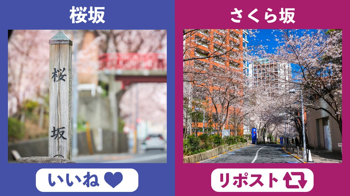 AEONCARD_jp's tweet photo. 今日は #さくらの日

さくらといえばそうです💡「櫻坂」🌸
では櫻坂46の由来となった坂は❓

いいねorリポストで教えてください♪

いいね→桜坂（田園調布）
リポスト→さくら坂（六本木）

櫻坂46とのコラボイオンカードもチェック👇
https://t.co/3aGUfQjA4v

#イオンカード https://t.co/C58YjiP0bt