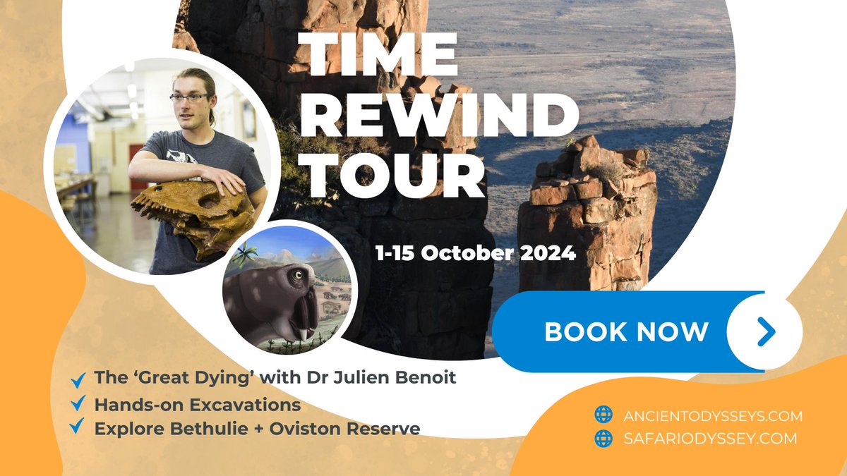 🌍 Ready to walk in the footsteps of history? Embark on the 'Rewind Time Fossil Finding Odyssey' in the Karoo, South Africa! Book your spot 🔗 [ancientodysseys.com/southafricafos…] #KarooExpedition #FossilHunting #PaleontologyExplorers #PermianExtinction #DiscoverAdventure #AncientJourneys