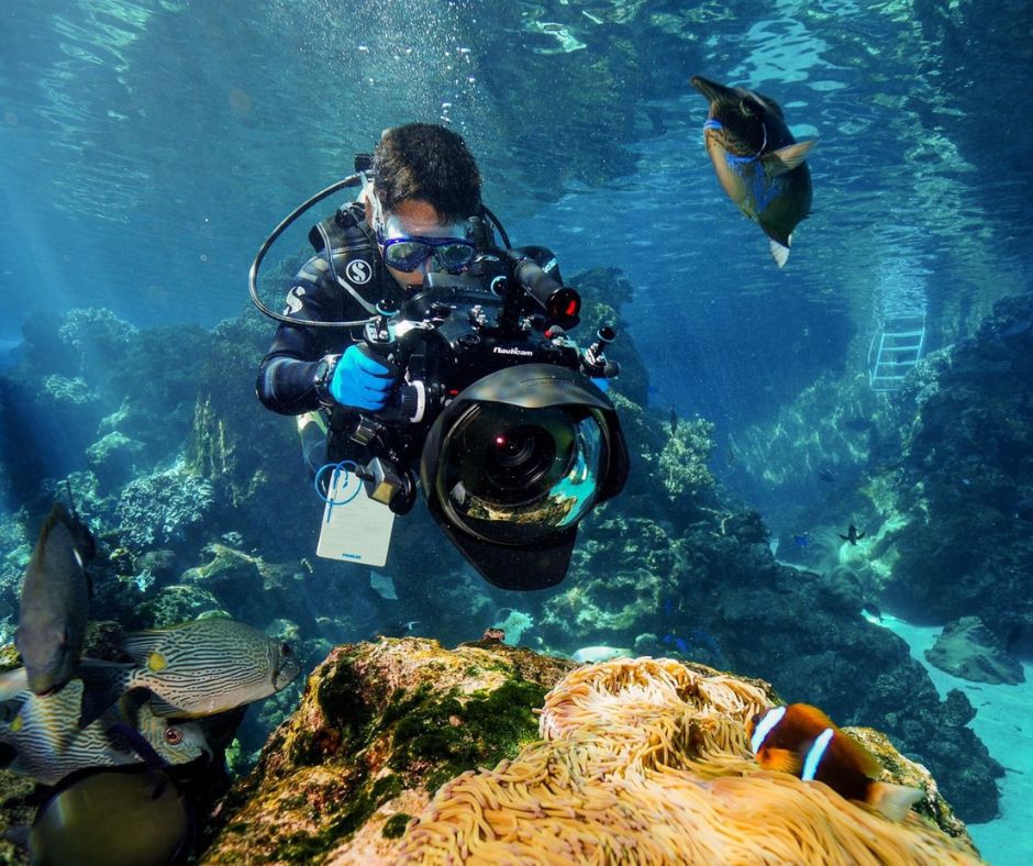 Ryan sports a smile on his face and a twinkle in his eyes as he talks about his love for fish, recounting stories from the earliest days of his marine science career. Read more of Ryan's incredible story below: linkedin.com/feed/update/ur…