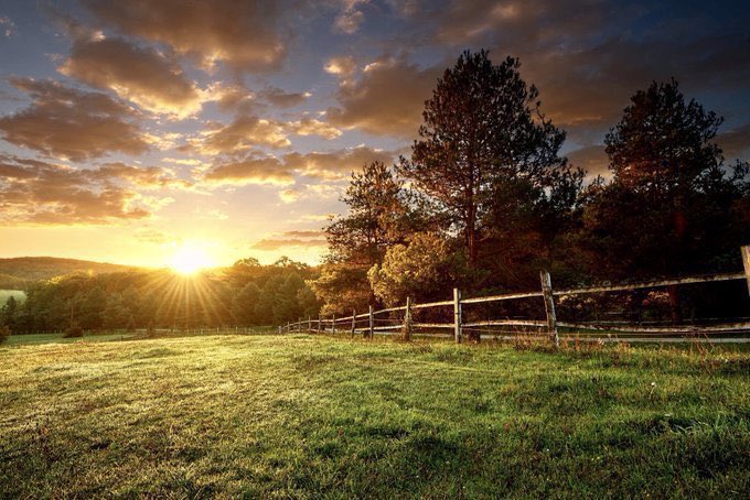 'If you are alone, the country is your companion; and nature becomes Nature, a person, someone to whom you can almost talk. You do not only walk through measured miles; you sit, dreaming, contemplating, absorbing it all, through unmeasured minutes.' ~C.R.Milne #MondayMotivation