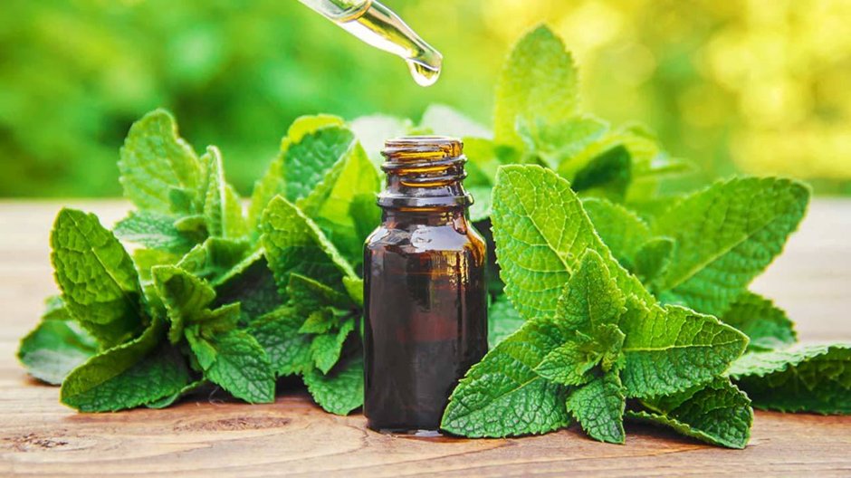 Smelling peppermint could give you an extra 2 push-ups at maximum effort or shave nearly 3 seconds off a 400m run: - A recent review of the power of smells on athletic performance found these interesting benefits for peppermint. It also increased cardiovascular capacity and…