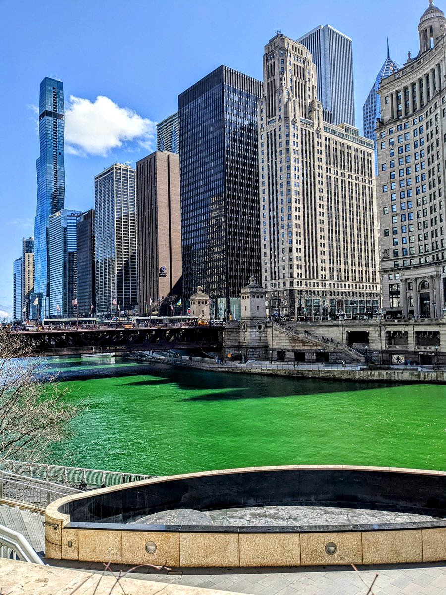 RhondaSharrah's tweet photo. Fun first time in Chicago and an overwhelming amount (as usual) of fascinating talks at #RenSA24 https://t.co/IugsSExdsQ