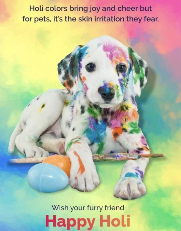 DipankarVet's tweet photo. Happy Holi to one and all
#Holi @IndianVeterina1 https://t.co/wkXwT2SE4D