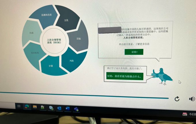 哈哈哈哈在上公司的培训课  这个鸽子笑死我了哈哈哈哈哈哈哈  &ldquo;我有点饿了&rdquo; https://t.co/QGRUFoZ5uU