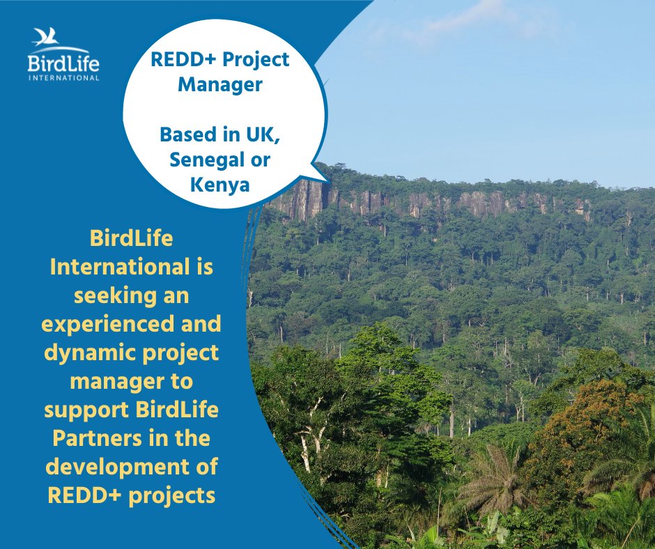 📢 Are you the One? We are seeking to recruit an experienced and dynamic conservation project manager to support BirdLife Partners in the development of REDD+ projects Application Deadline : 27th March 2024 More details 👉 ow.ly/sZAu50R0Jt0